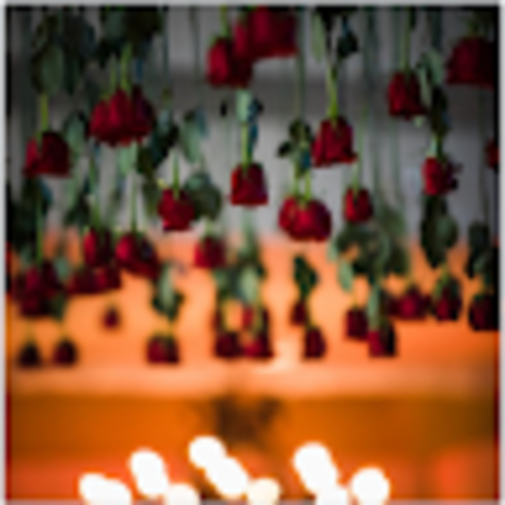 Meet your Posher, Lavishtrash